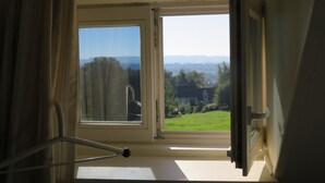 Una ventana con vistas a un paisaje verde y una casa.