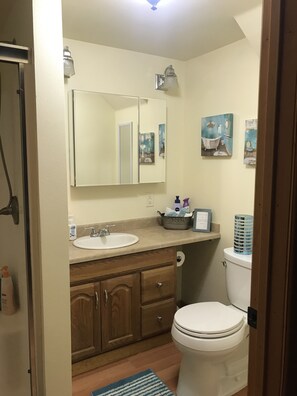Shower, hair dryer, towels, soap - Two bedroom, fully furnished apartment with private entrance on 3 wooded acres (Fairbanks)