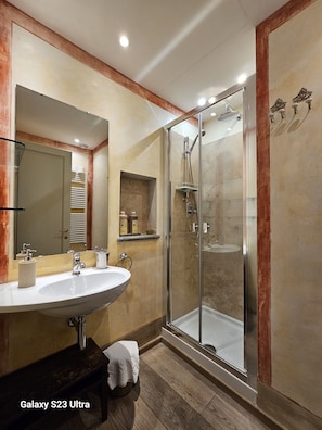 Shower, hair dryer, bidet, towels
