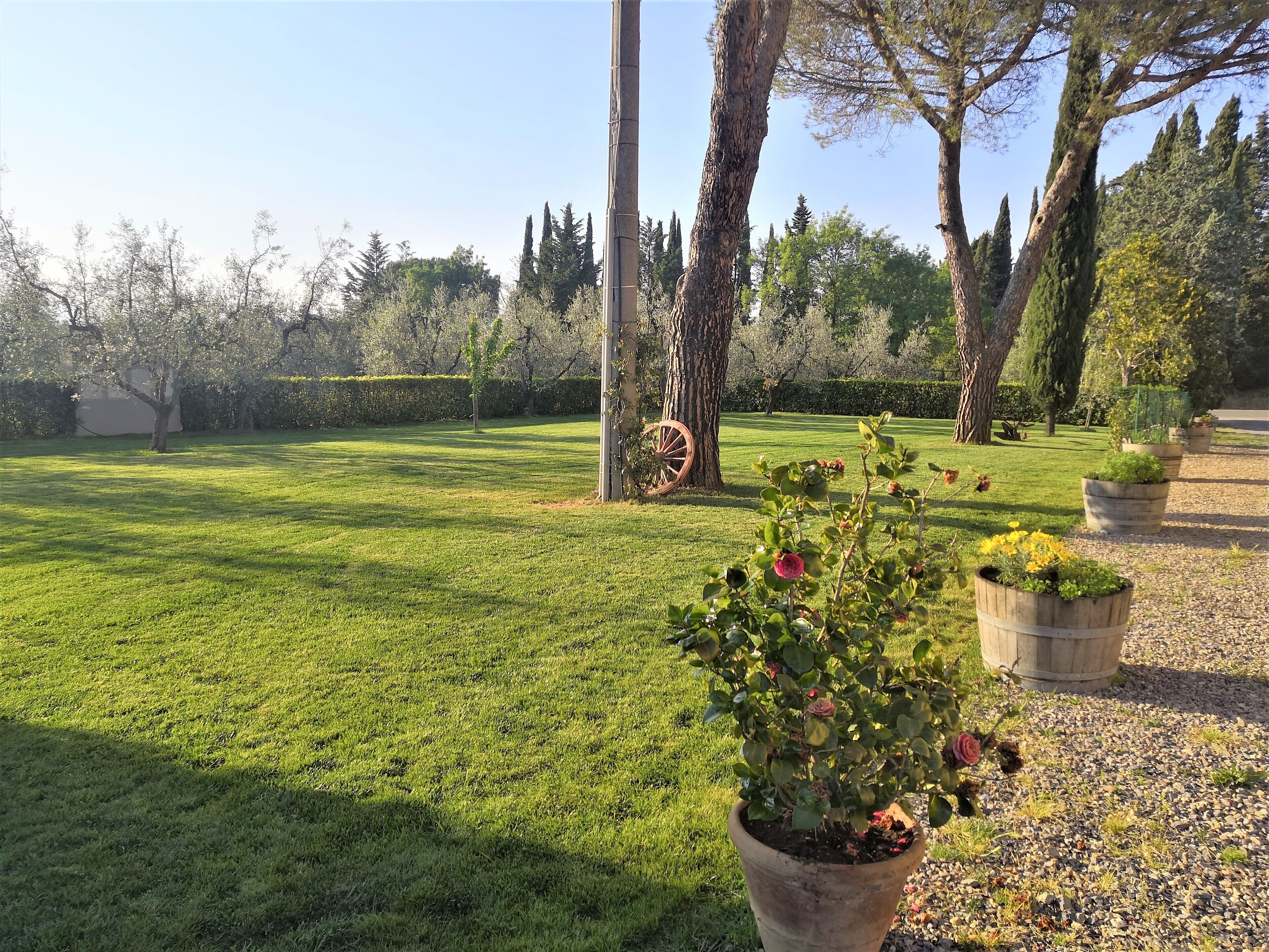 Un jardin bien entretenu, agrémenté de divers arbres, d’une pelouse verdoyante et de plusieurs plantes en pot.