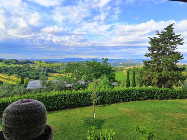 Property grounds - Tenuta Barbadoro Farmhouse Apartments (Montespertoli)