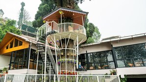 A multi-story building with a central tower, balconies, and potted plants.