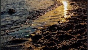 Una playa con un edificio a la derecha, un atardecer en el fondo y olas suaves lamiendo la orilla.