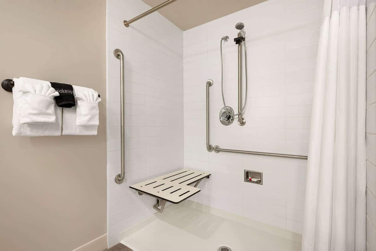 room, 1 queen bed, accessible, non smoking | bathroom shower