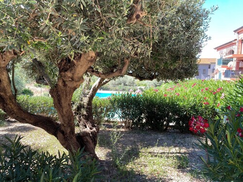 Apartment - Sleeps 2 & Swimming Pool
