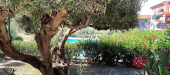 公寓 - 可住 2 人 & 游泳池  