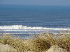 On the beach, sun-loungers - 500 m from beach comfort, private wifi Fibre, bed linen, swimming pool, parking, advantages (Moliets-et-Maa)