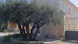Un edificio de piedra con una reja de metal, un árbol en primer plano y un cielo despejado.