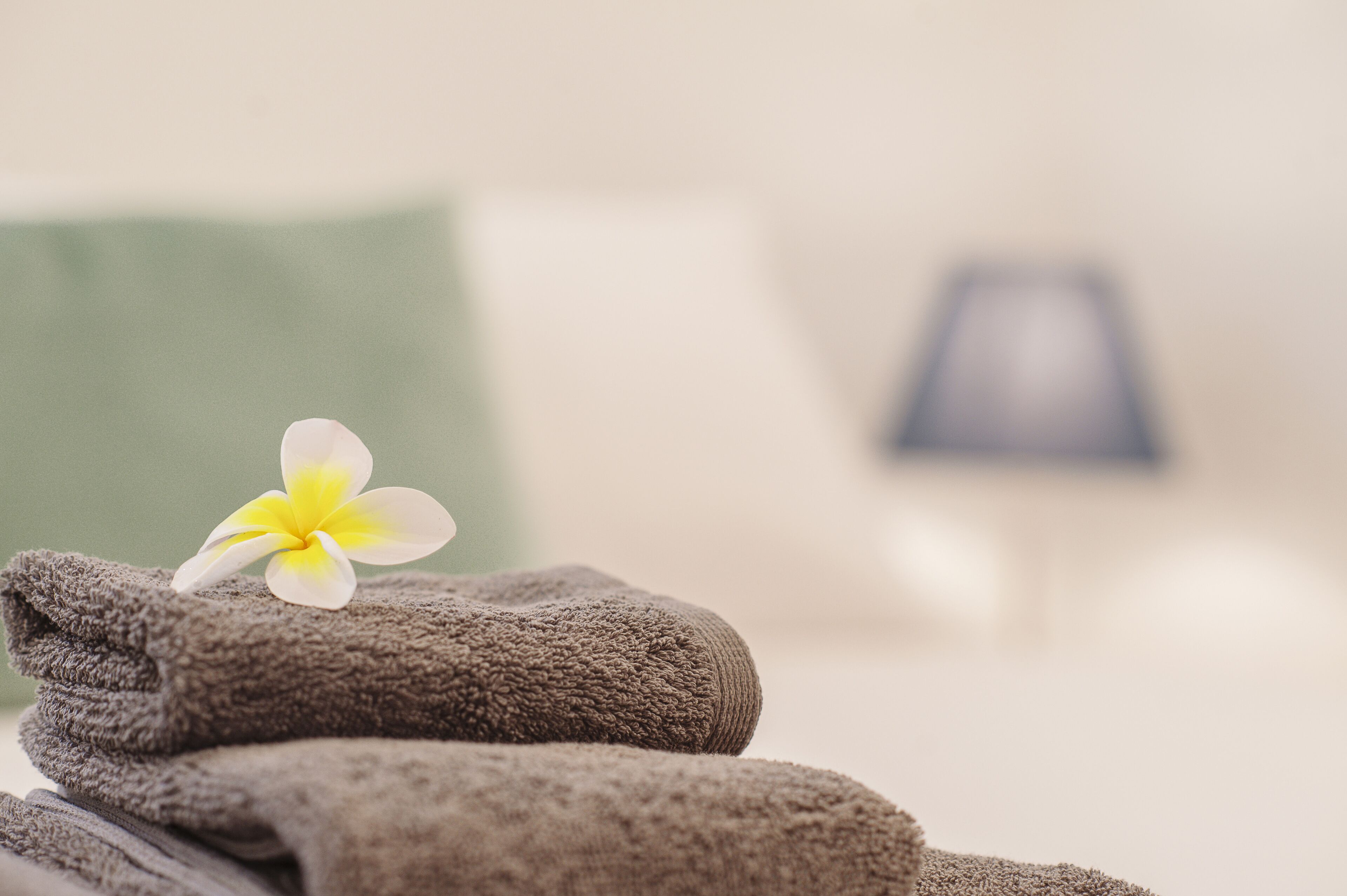 Character Loft House- walk to the beach and cafes — image 21