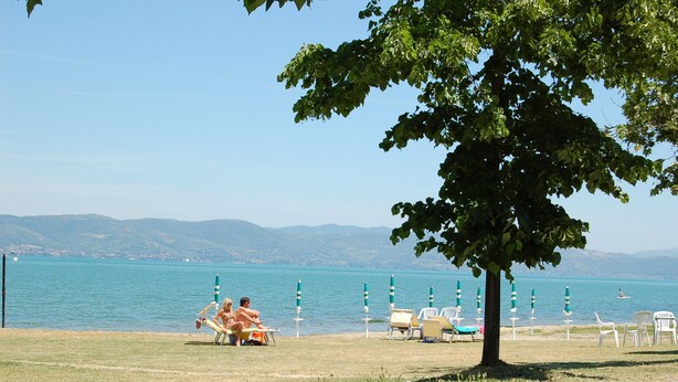 A lakeside setting with a grassy area, a tree, and several beach chairs and umbrellas.