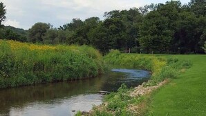 Een rivier met een grasrijke oever en dichte bomen op de achtergrond.