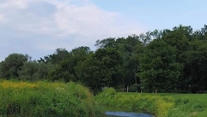Een rivier met een grasrijke oever en rotsen.