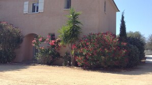 Una casa de dos pisos con fachada color beige, un porche pequeño y un jardín con flores rosadas y una palmera.