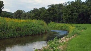 Um rio serpenteando por uma paisagem verdejante e exuberante, com árvores densas e flores silvestres ao fundo.