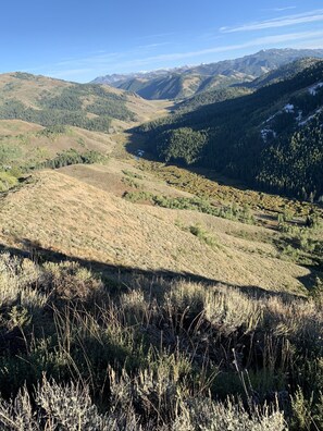 Niet-geclassificeerde afbeelding, 3 van 9, knop