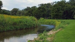 Un río serpenteando por una zona cubierta de pasto, con árboles frondosos al fondo.