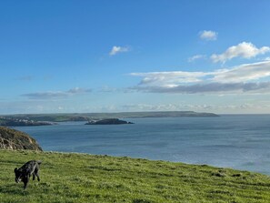 A coastal landscape with a grassy area and a body of water.