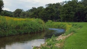 A river flowing through a lush green landscape with dense trees and wildflowers in the background. - #6 Blakley Hobbit Campground-Tent spot (Viola)
