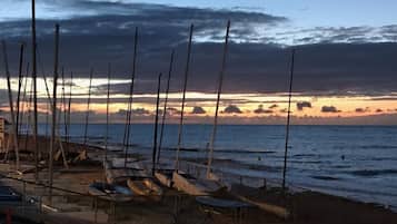 Plage, chaises longues