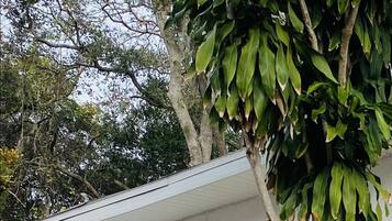 Detalle exterior
