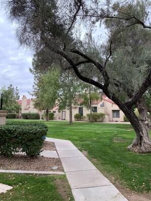 Property grounds - 2/2 w/ Gameroom & Pool, Walk to Everything - baseball, shopping, parks & dining! (Mesa)