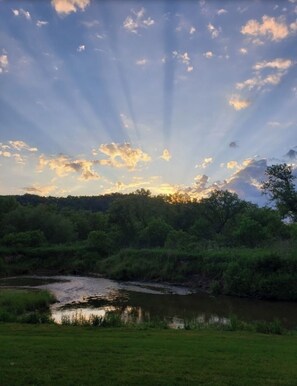 Surrounded by lush greenery and trees, this serene landscape features a peaceful body of water.