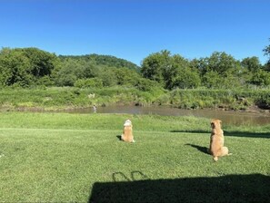 Two dogs sitting on a grassy field with a pond and trees in the background. - Blakley Hobbit Campground-RV spot #1 (Viola)
