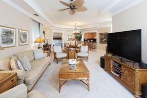 تلفزيون، مشغل دي في دي