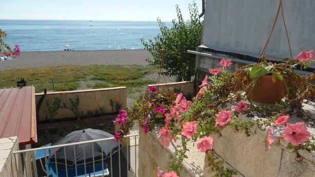 Un balcon orné de fleurs roses, une vue sur la plage et un ciel dégagé.