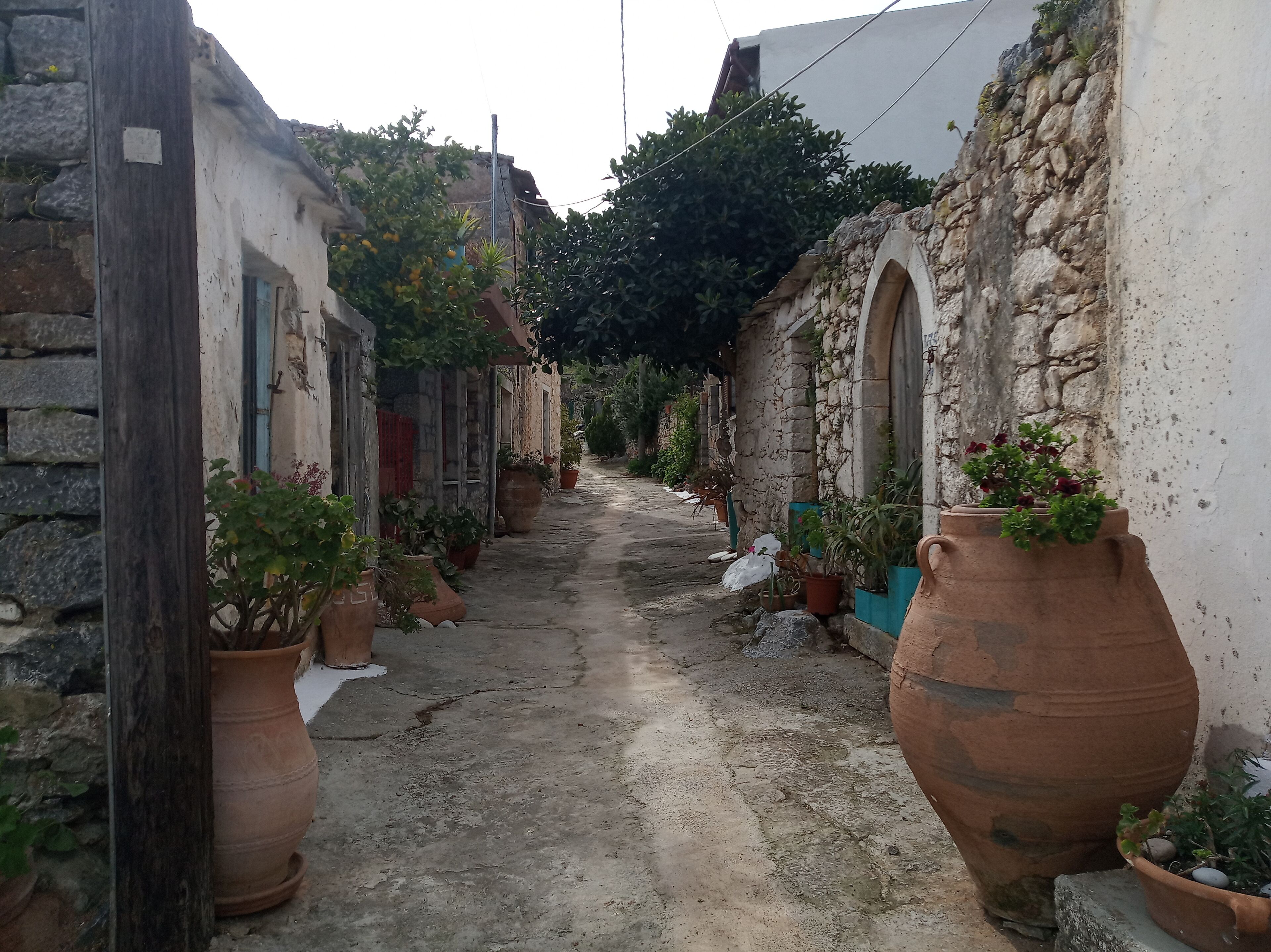 A narrow alley with stone buildings, large terracotta pots, and potted plants lining the path.