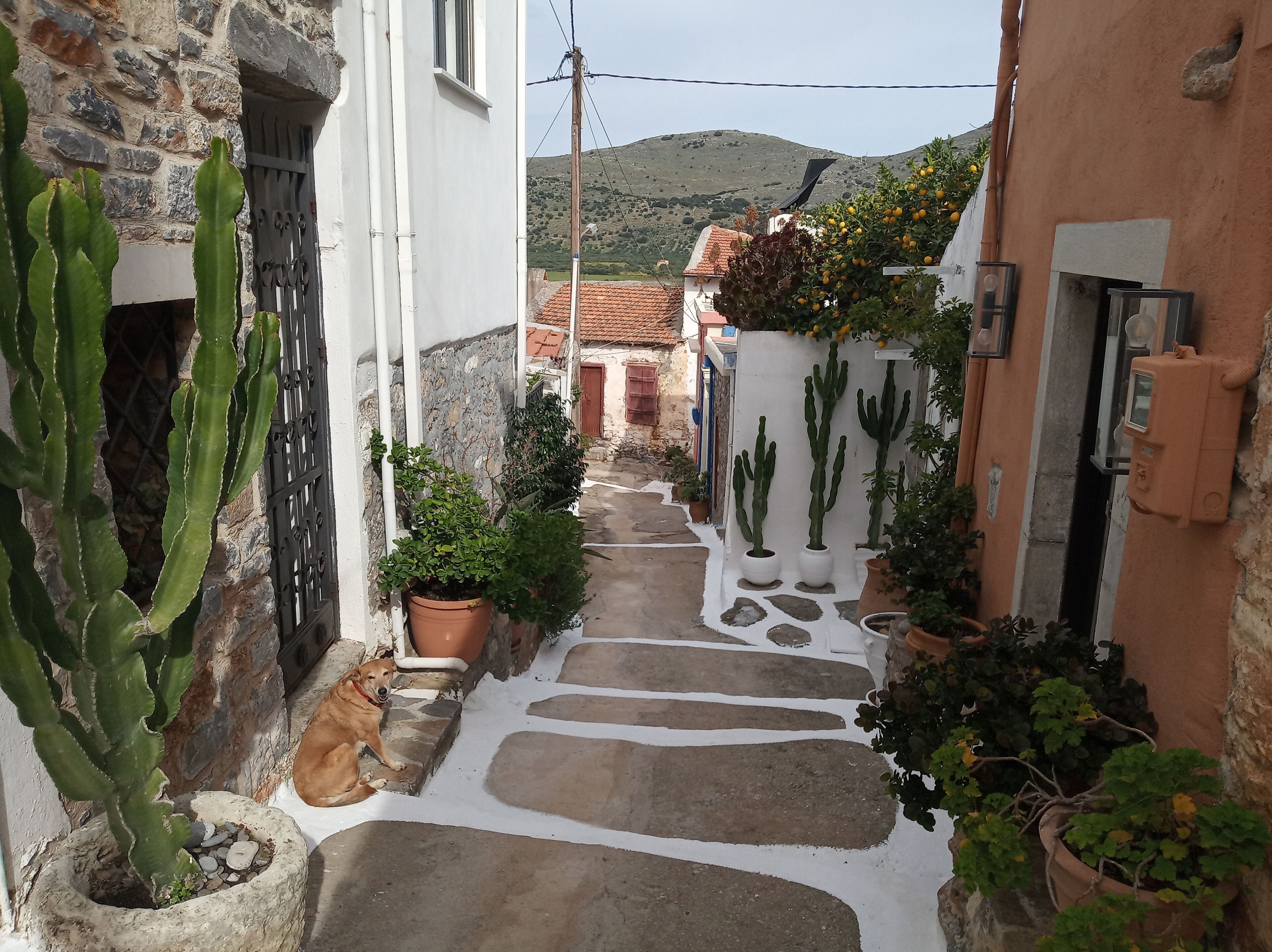 独立别墅 | 住宿场地