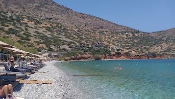 House | Property grounds