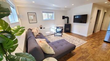 Smart TV, fireplace, books