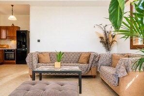 TV, fireplace, DVD player, books