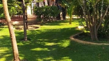 Área da propriedade