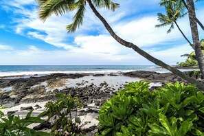 On the beach, sun-loungers, beach towels - Lovely Oceanfront 2/Bdrm, 4th Floor Condo with A/C at the Kona Bali Kai Resort (Kailua-Kona)
