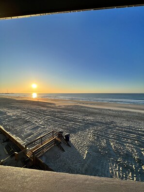 On the beach, sun-loungers