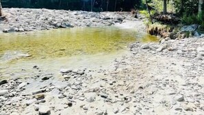 A rocky riverbank with clear water, surrounded by dense green trees. - Spacious Riverfront Home 7 Minutes to Stratton! (Jamaica)