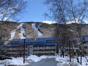 Ulkopuoli