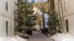 Un sendero cubierto de nieve flanqueado por abedules y macetas de piedra, que conduce a un edificio con grandes ventanales y fachada de piedra.