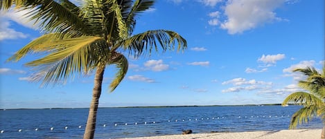Playa en los alrededores