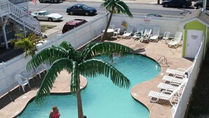 En swimmingpool med en palm, solstolar och en liten byggnad med en varningsskylt.