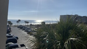 Vista de la playa con coches aparcados y palmeras.