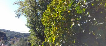 Casas do Contrabando 2 - Fonte de Os Galegos