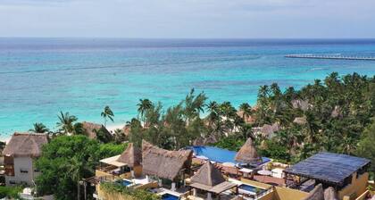 Fabulous condo steps from the beach and 5th Ave, rooftop pool