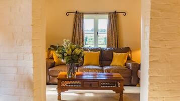 Télévision, cheminée, lecteur de DVD