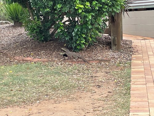 Test Account! Do Not Book!!!Plantatio!!!! 234 23455