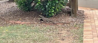 Test Account! Do Not Book!!!Plantatio!!!! 234 23455