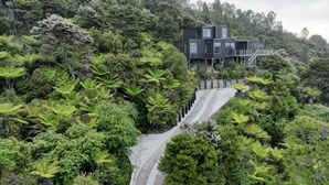 A modern building with multiple levels, surrounded by dense forest and a concrete pathway leading to it. - A view like none other (Cooks Beach)