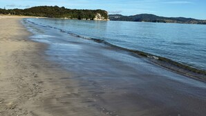 A beach with clear water, a sandy shore, and a forested hill in the background. - A view like none other (Cooks Beach)